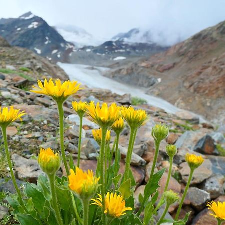 Haus Alpenrose Διαμέρισμα Sankt Leonhard im Pitztal Εξωτερικό φωτογραφία