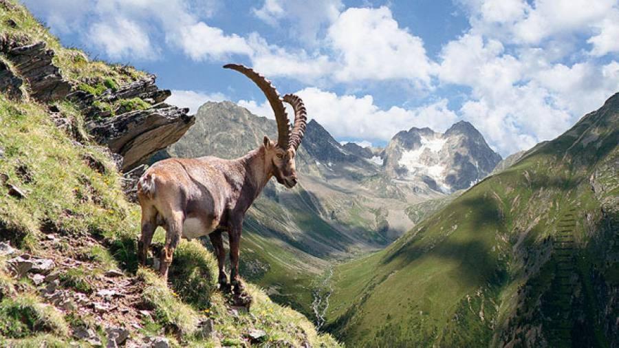 Haus Alpenrose Διαμέρισμα Sankt Leonhard im Pitztal Εξωτερικό φωτογραφία