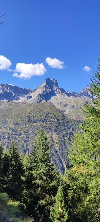 Haus Alpenrose Διαμέρισμα Sankt Leonhard im Pitztal Εξωτερικό φωτογραφία
